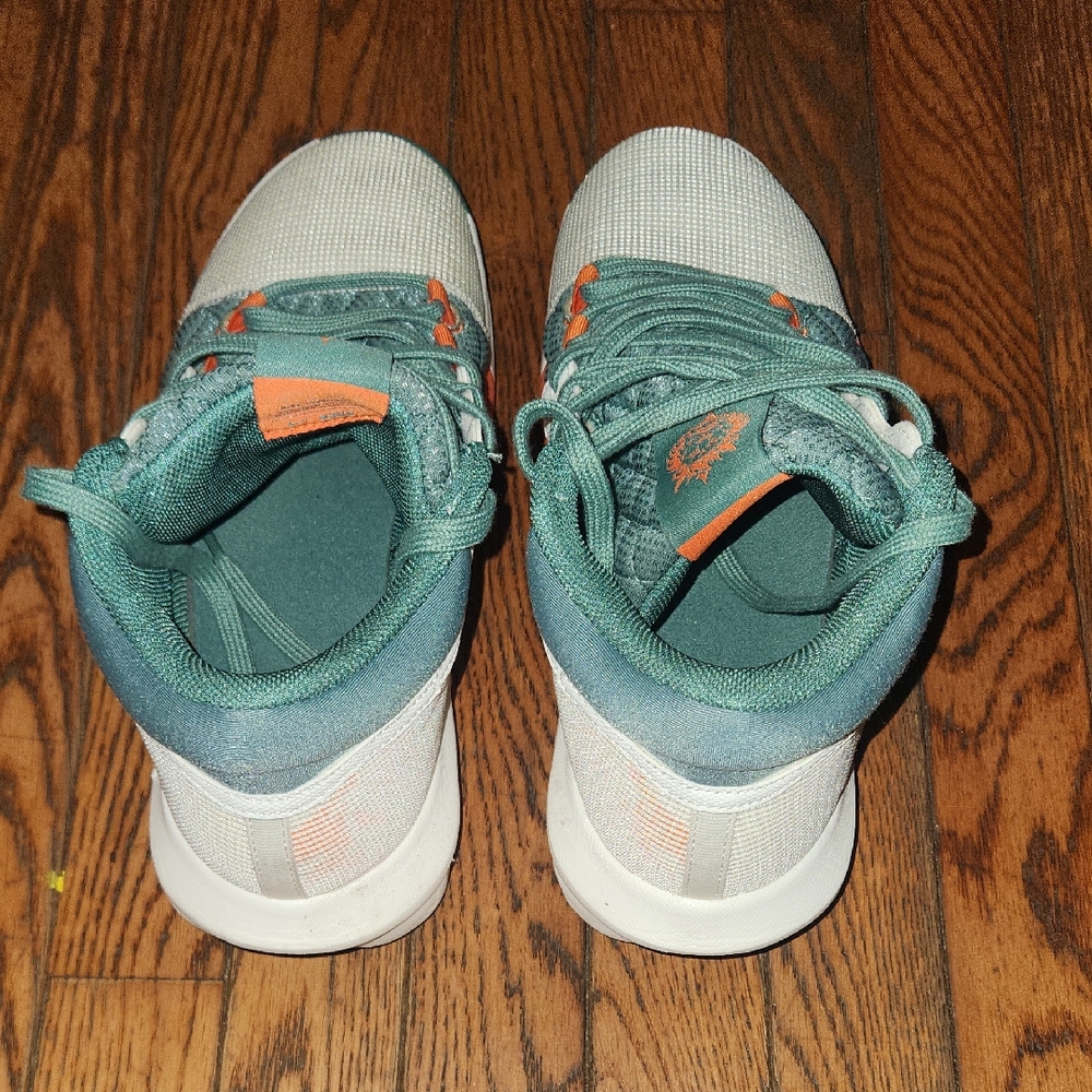 Lebron Witness 8